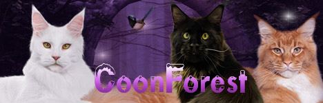 banner CoonForest