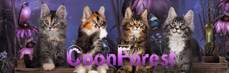 banner Coonforest