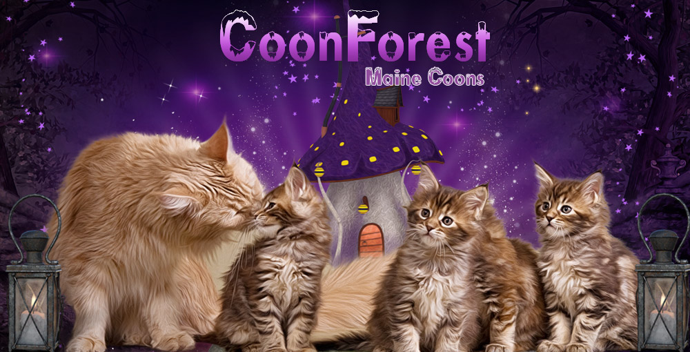 Coonforest