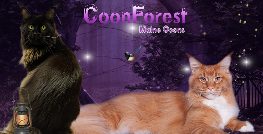 Coonforest