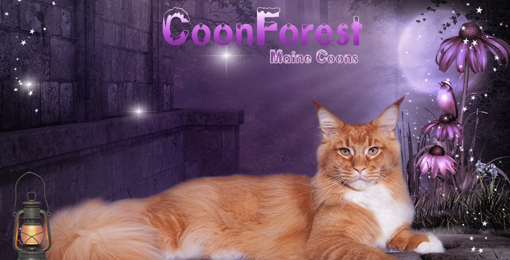 Coonforest