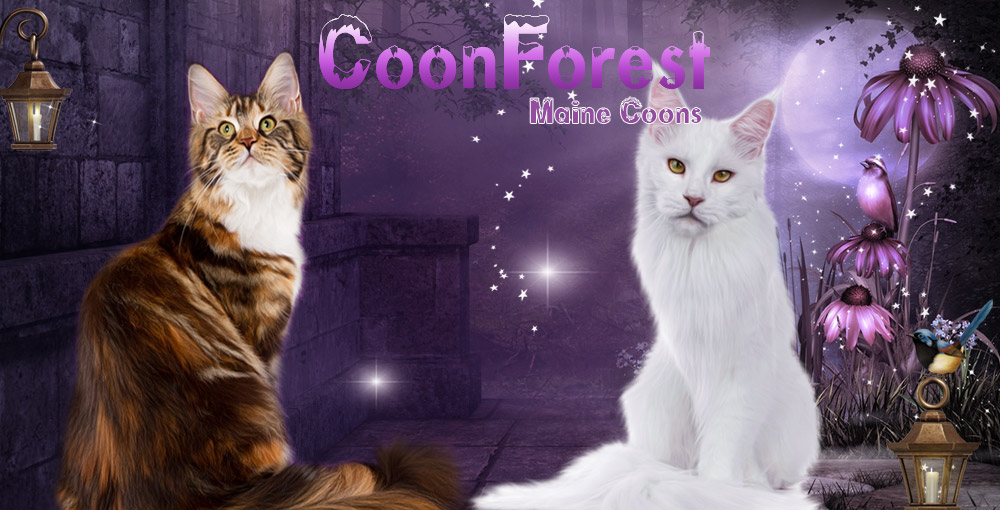 Coonforest