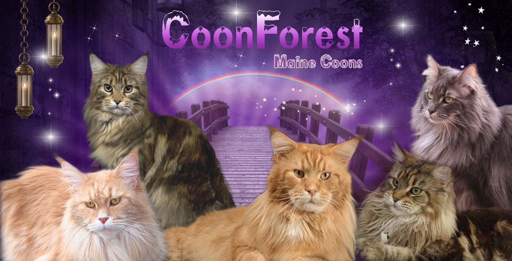 Coonforest