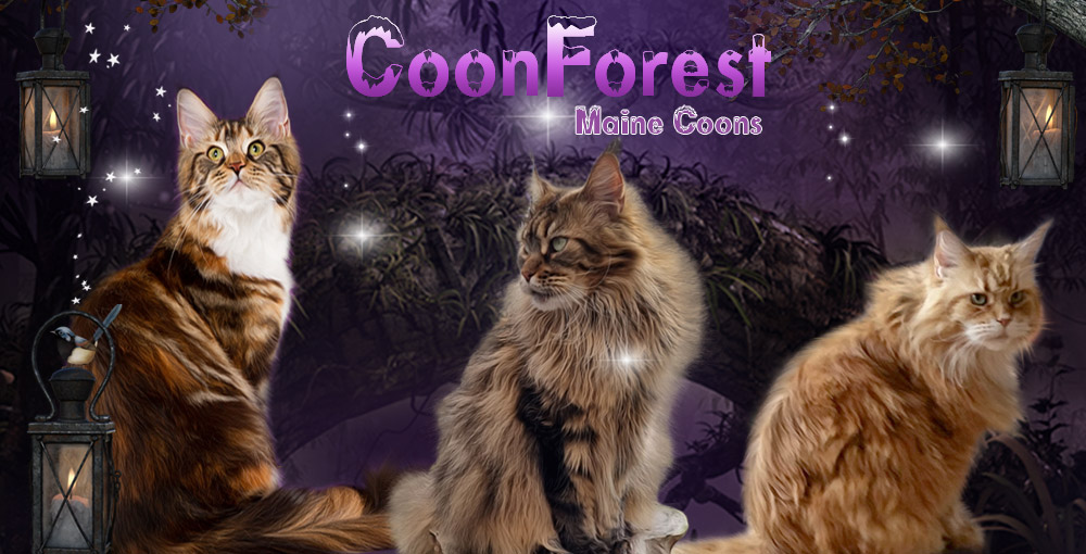 Coonforest