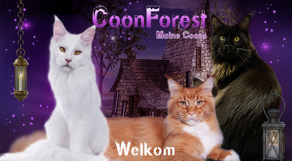 Welkom