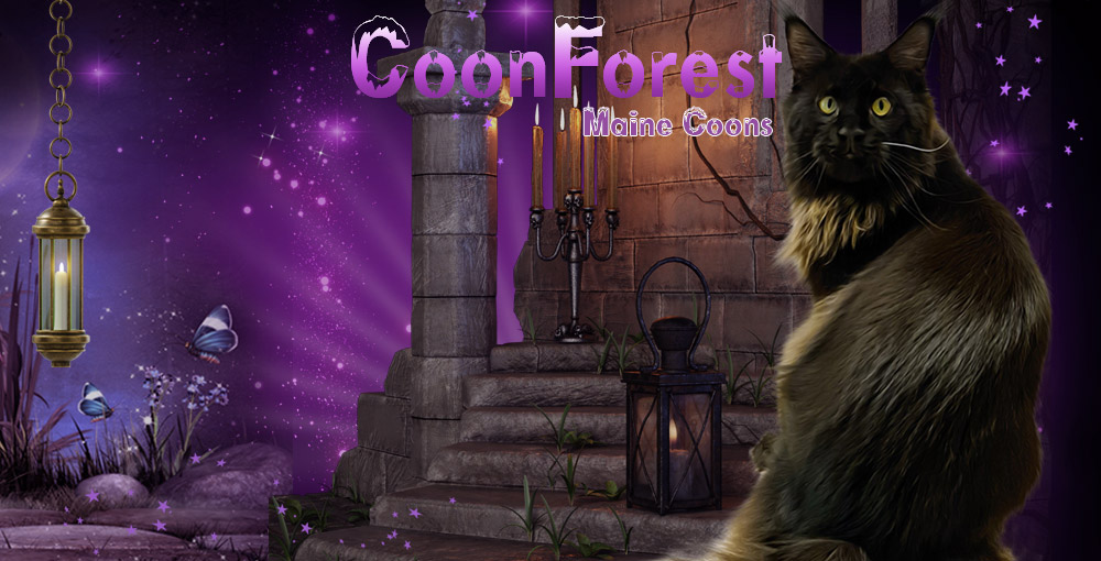 Coonforest