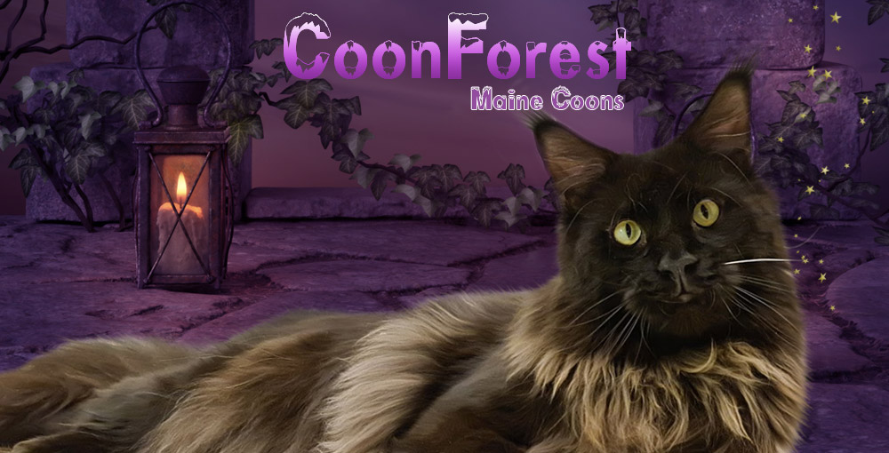 Coonforest
