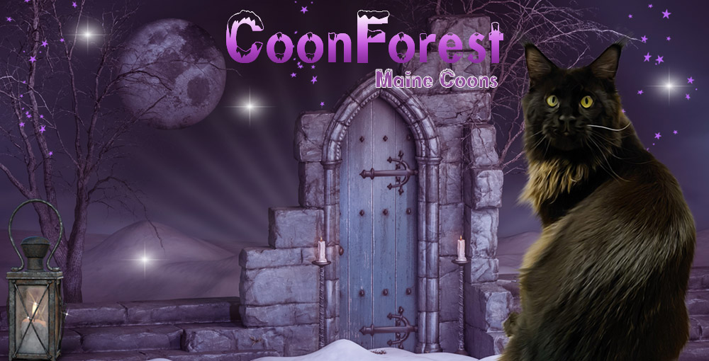 Coonforest