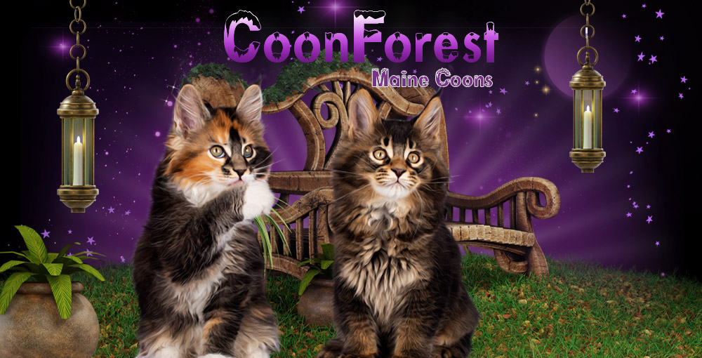 Coonforest