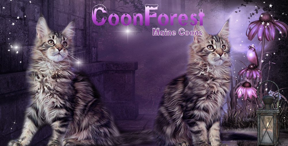 Coonforest